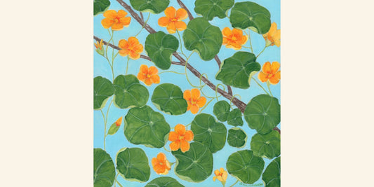 Painting the Garden🪴🖌️