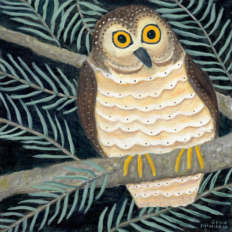 “Wondering When I’ll See You” - Northern Saw-Whet Owl Print