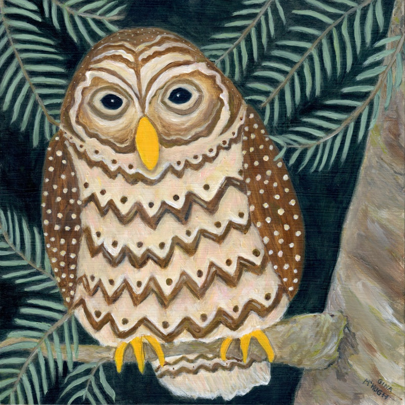 “Watching Over You” - Barred Owl Print