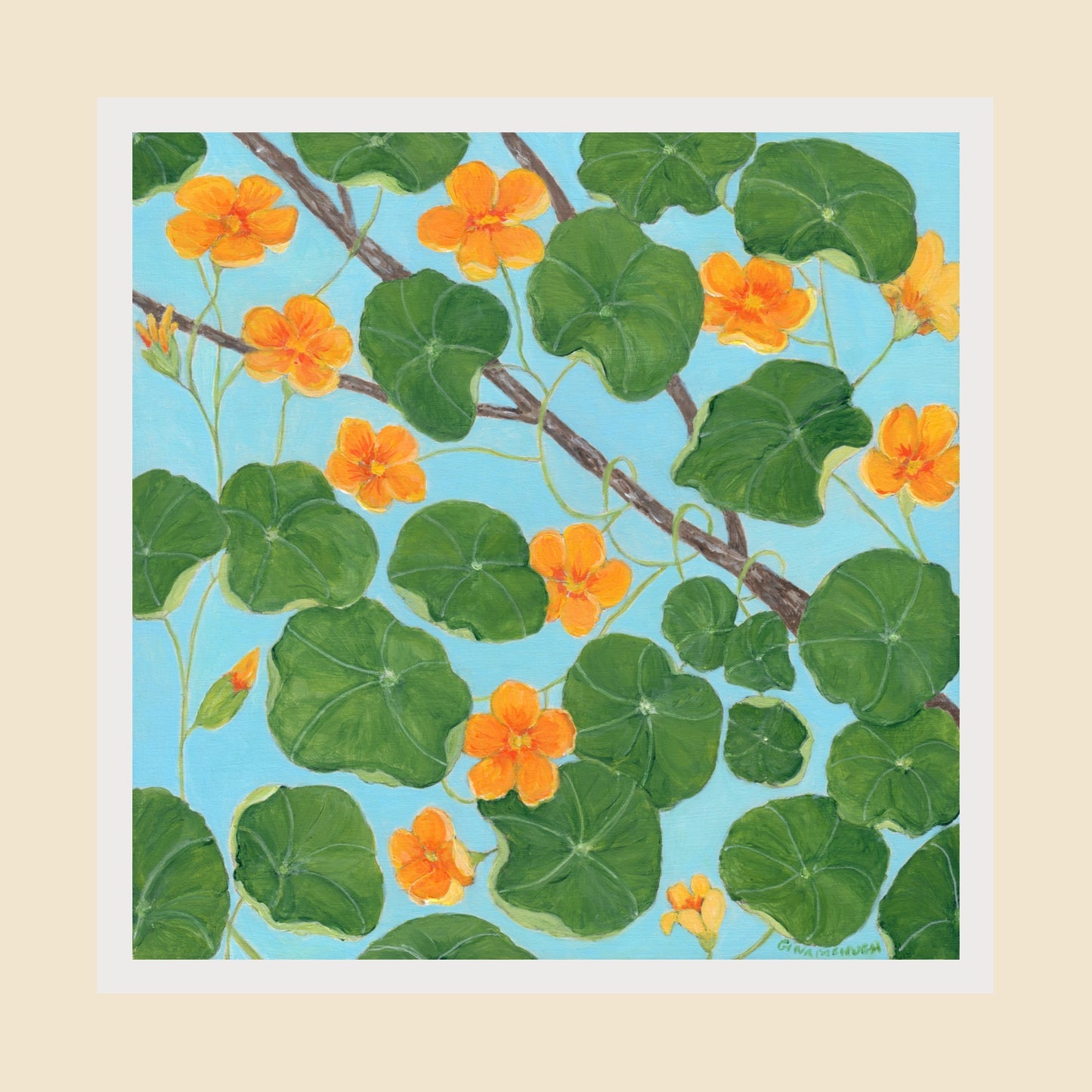 Nasturtiums Print