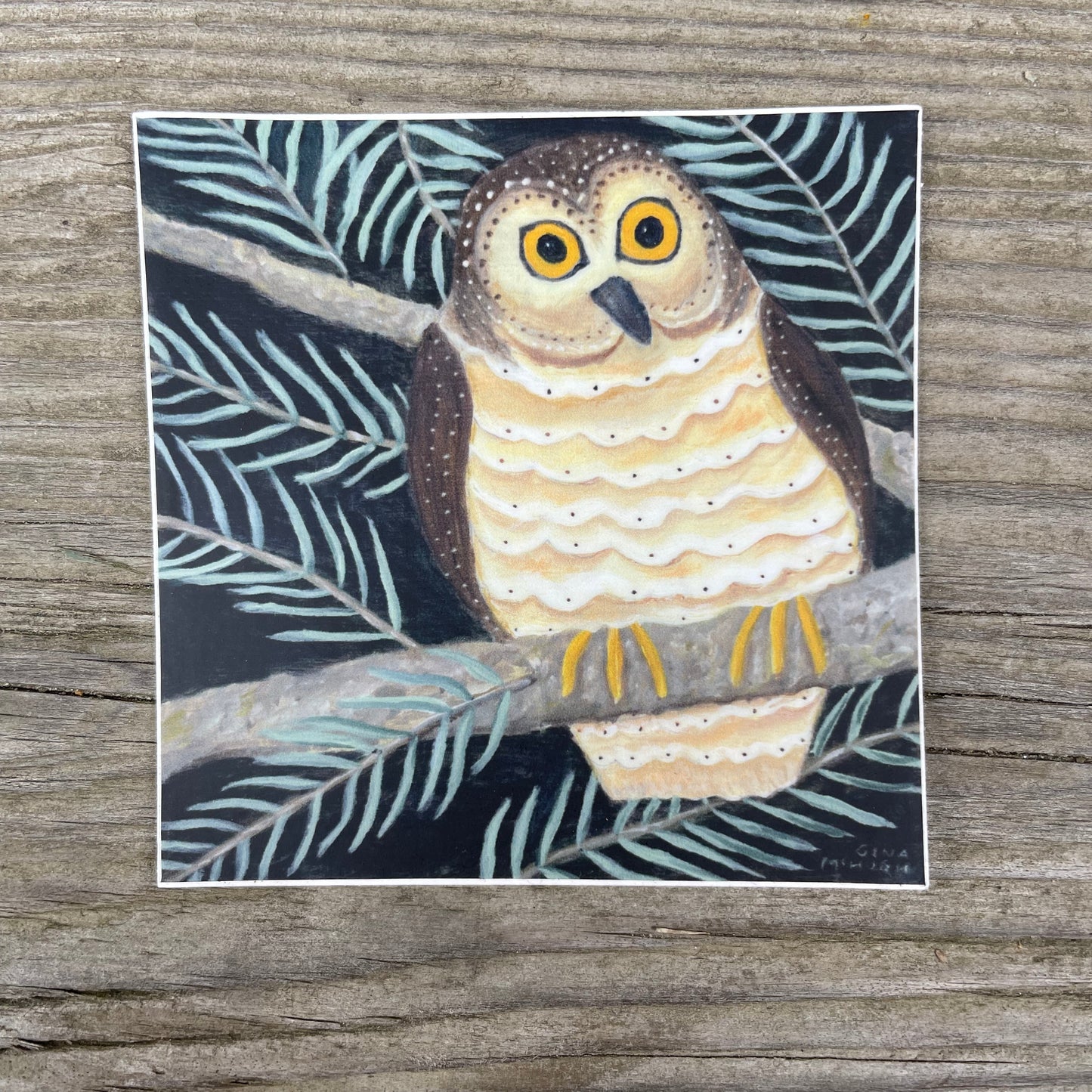 Owl Decorative sticker with pine branches