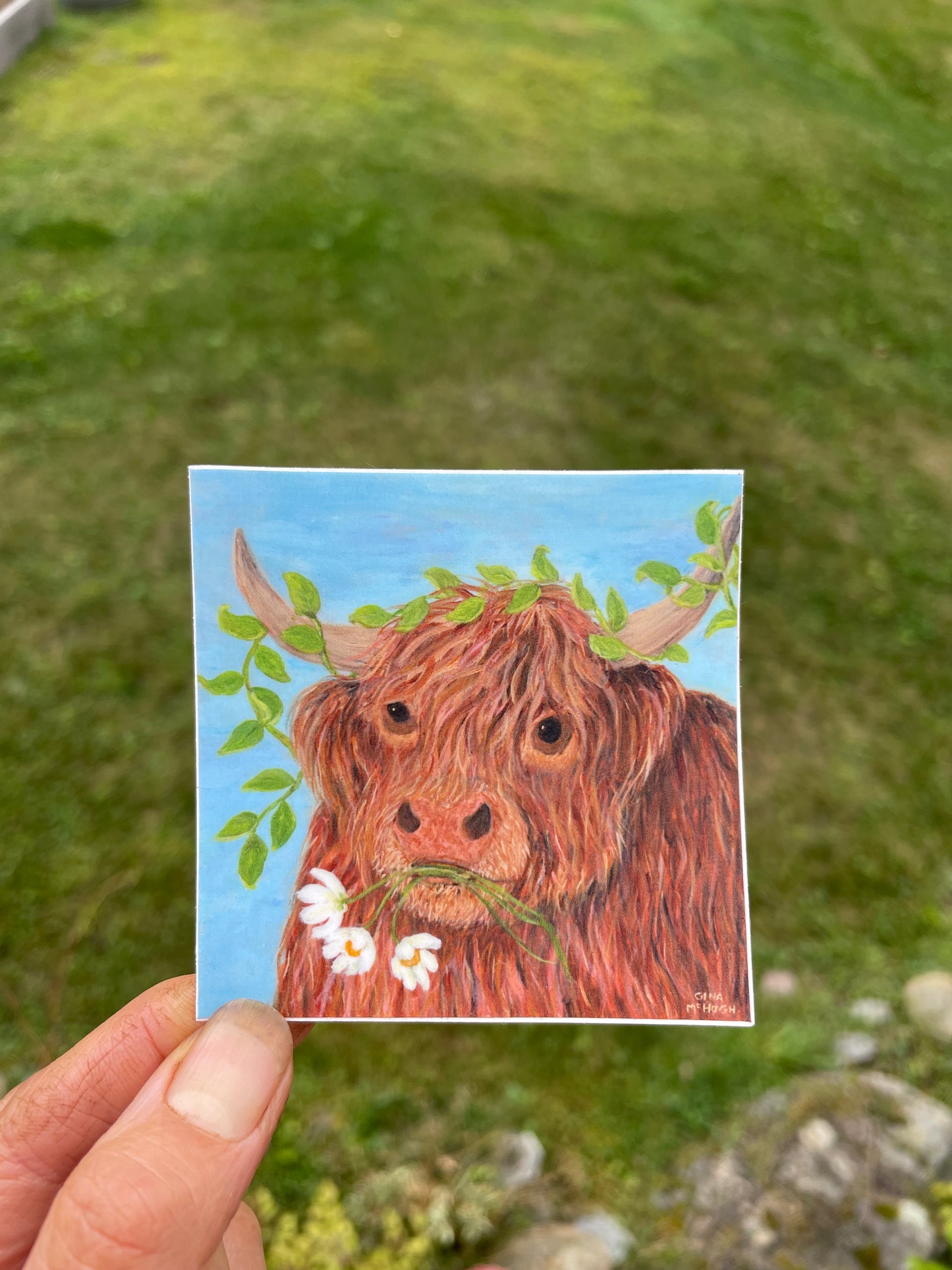 Ginger the Highland Cow Vinyl Decorative Sticker