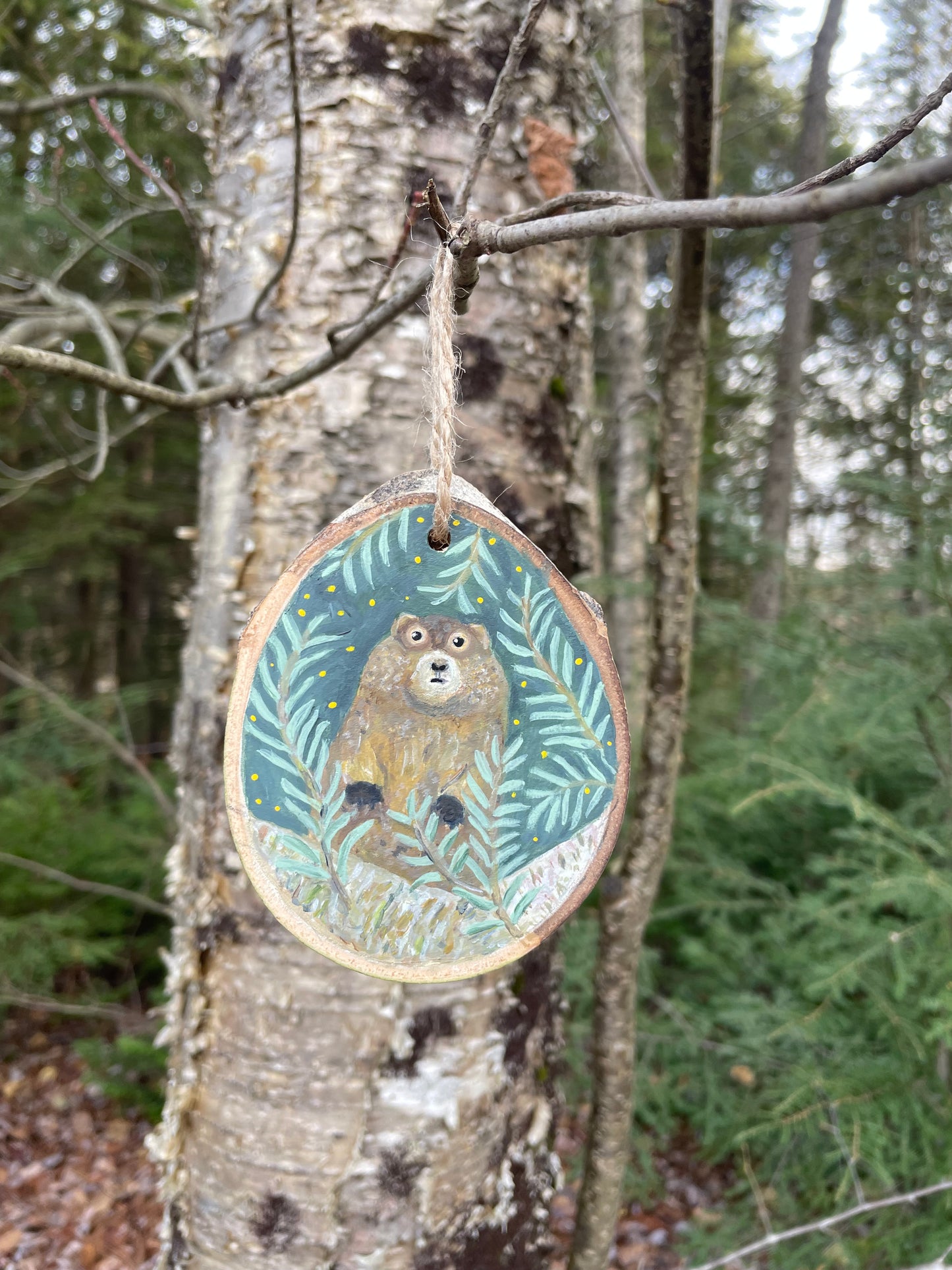 Woodchuck Groundhog  -Handpainted Aspen Wood Slice Ornament -SOLD