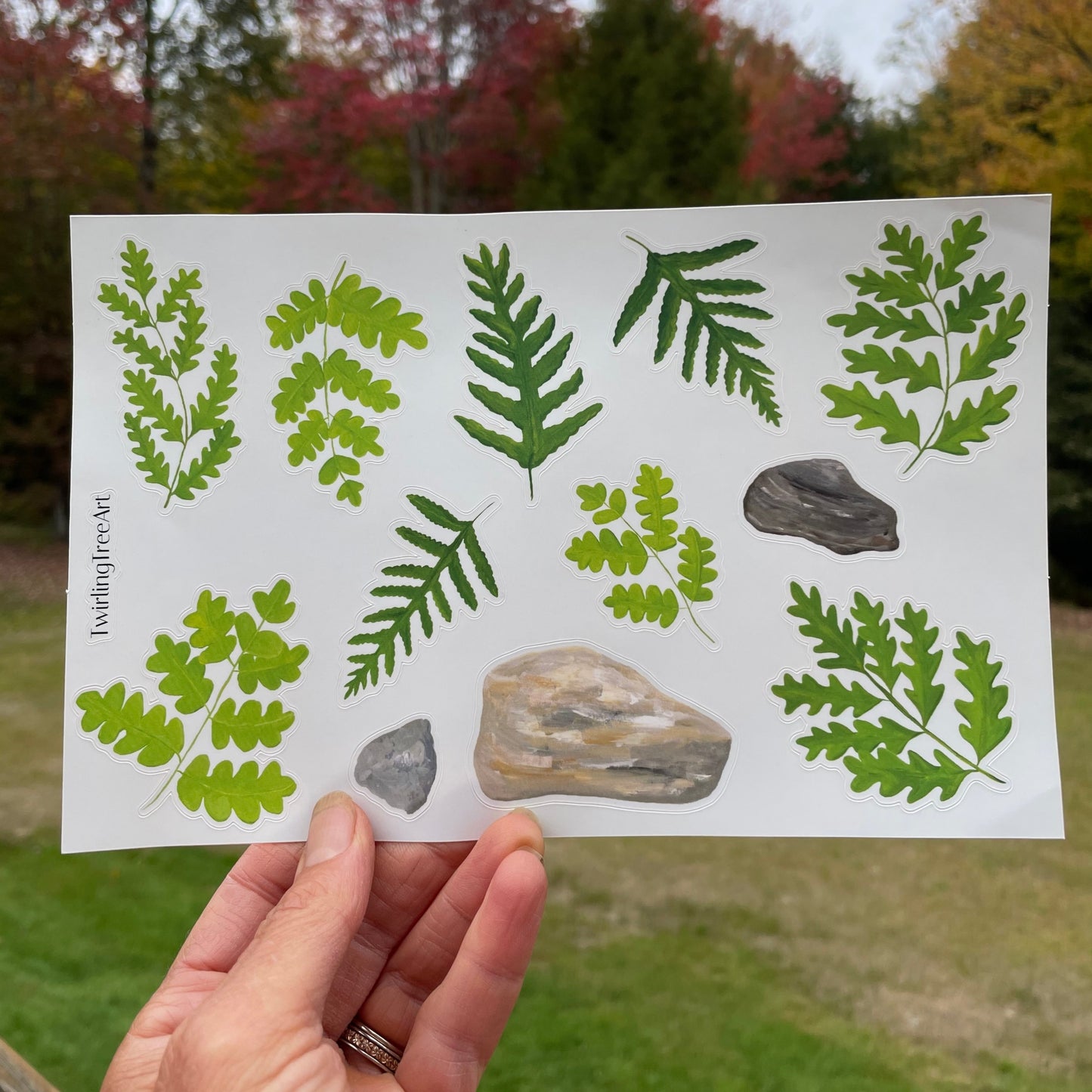 Ferns Decorative Vinyl Sticker Sheet