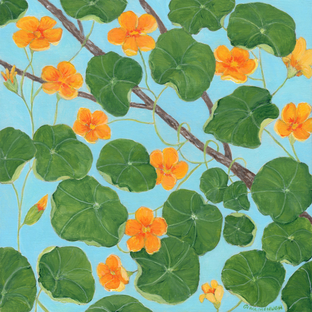 Nasturtiums - Original Painting -SOLD