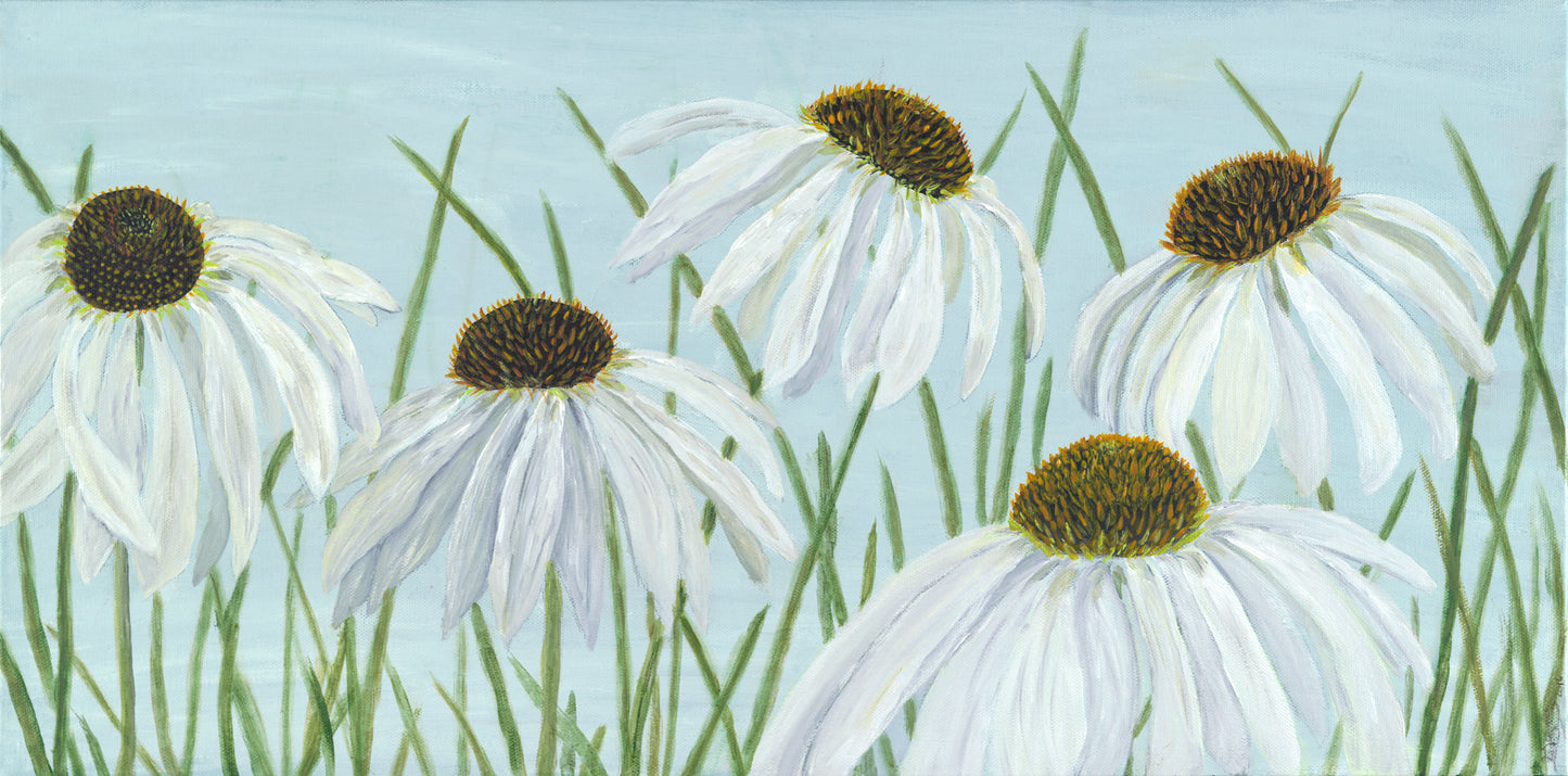 White Coneflowers / Echinacea Print