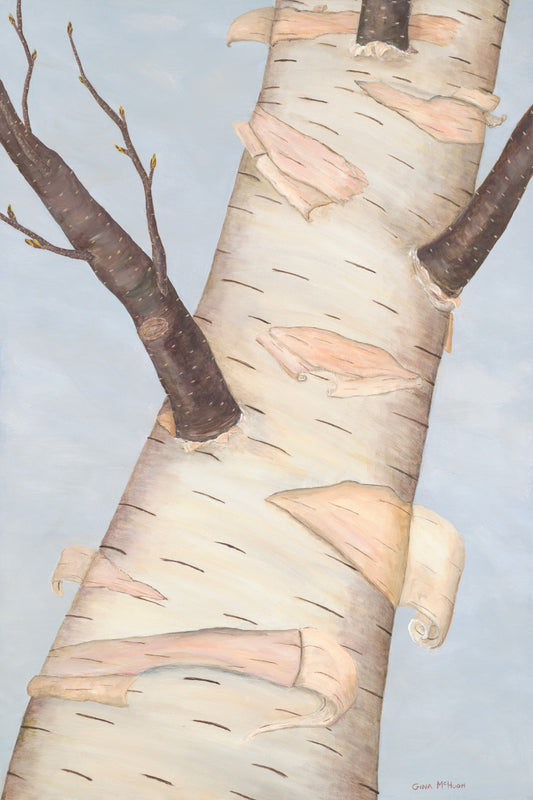 Peeling Birch Tree