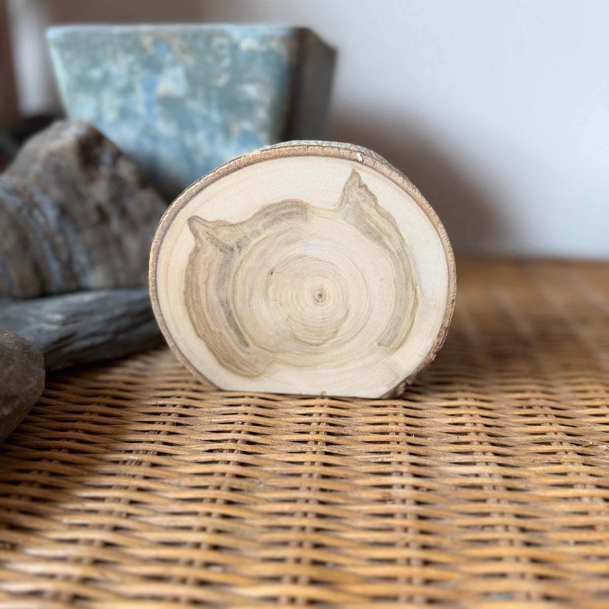 Canada Goose - Mini Original Painting on Freestanding Aspen Wood Slice
