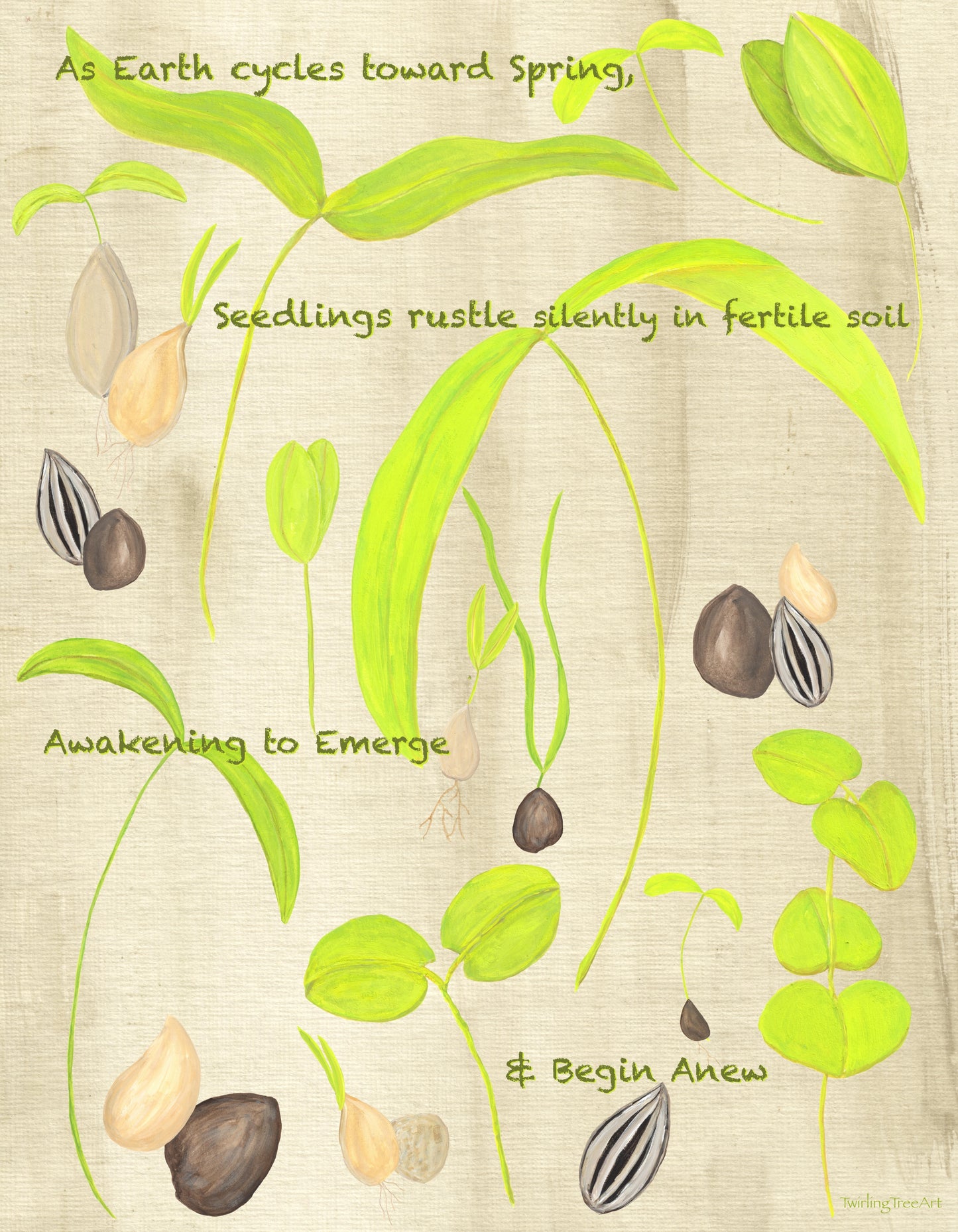 Seedlings Print