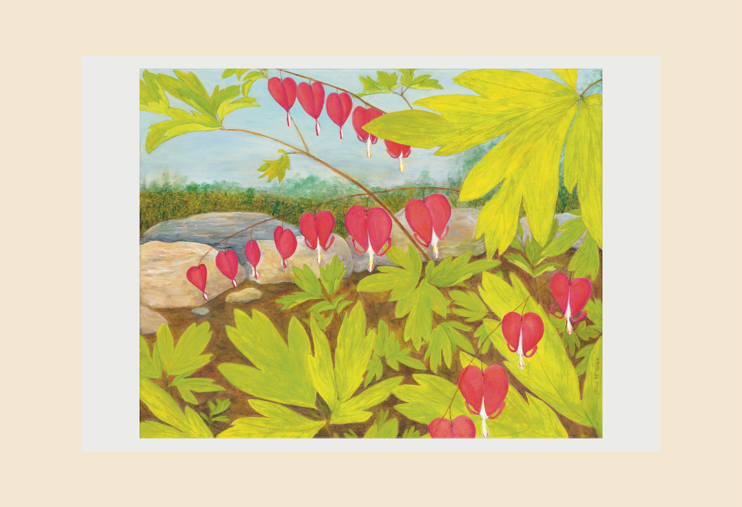 Pink bleeding hearts with chartreuse foliage. Bleeding hearts symbolize love and affection.