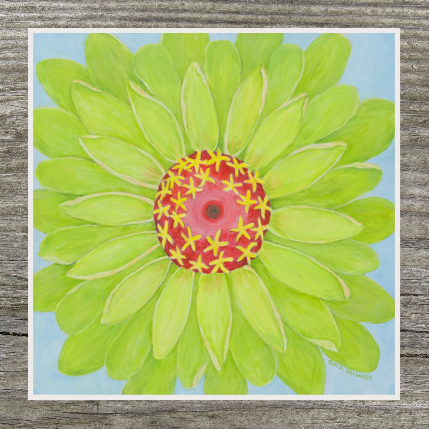 Queen Lime Zinnia 3 print