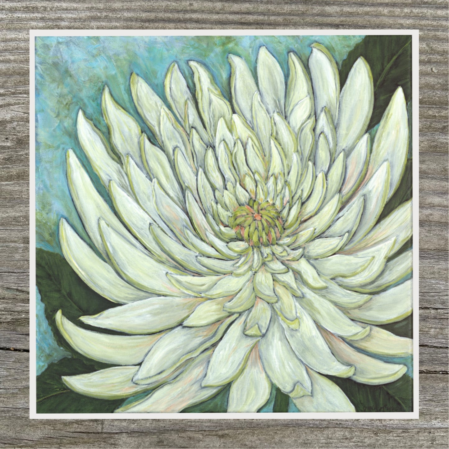 "Ordinary Flower" Print - White Chrysanthemum