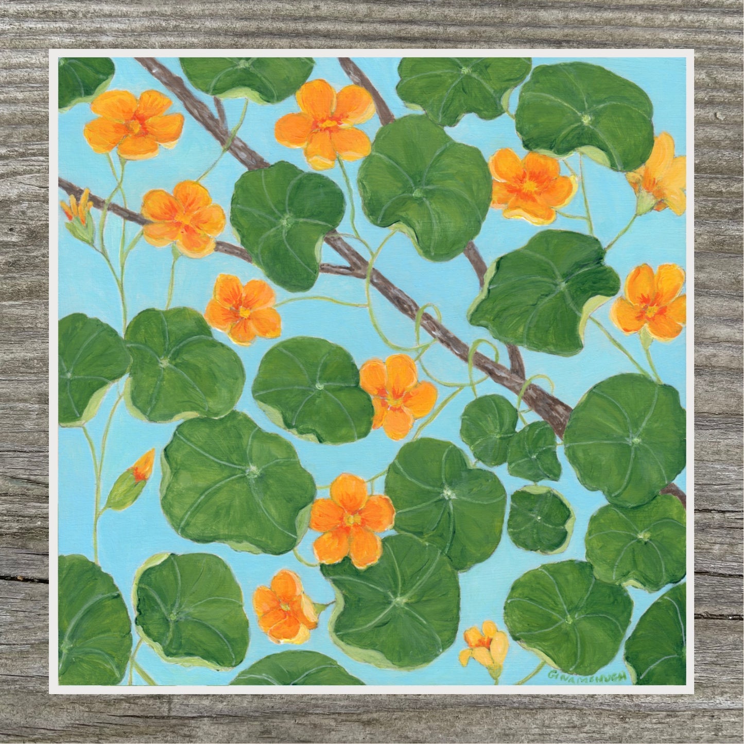 Nasturtiums Print