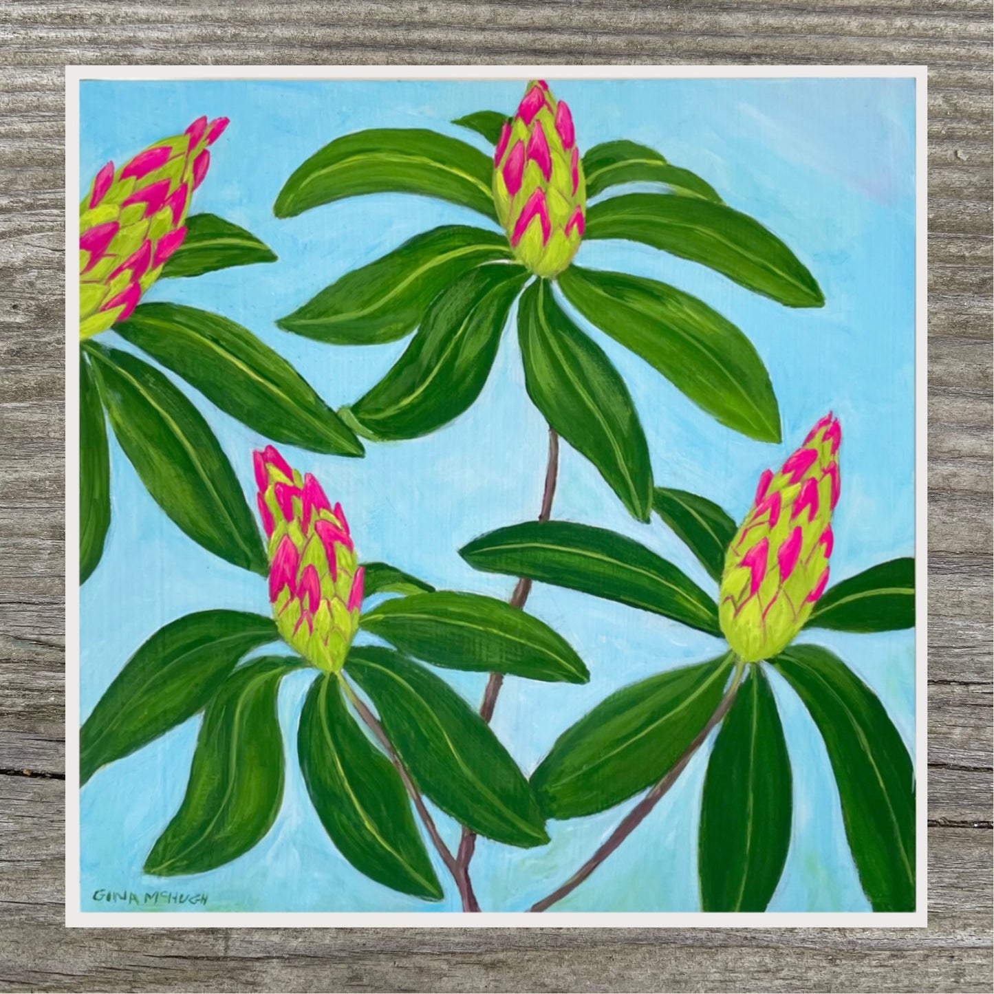 Rhododendrons Print