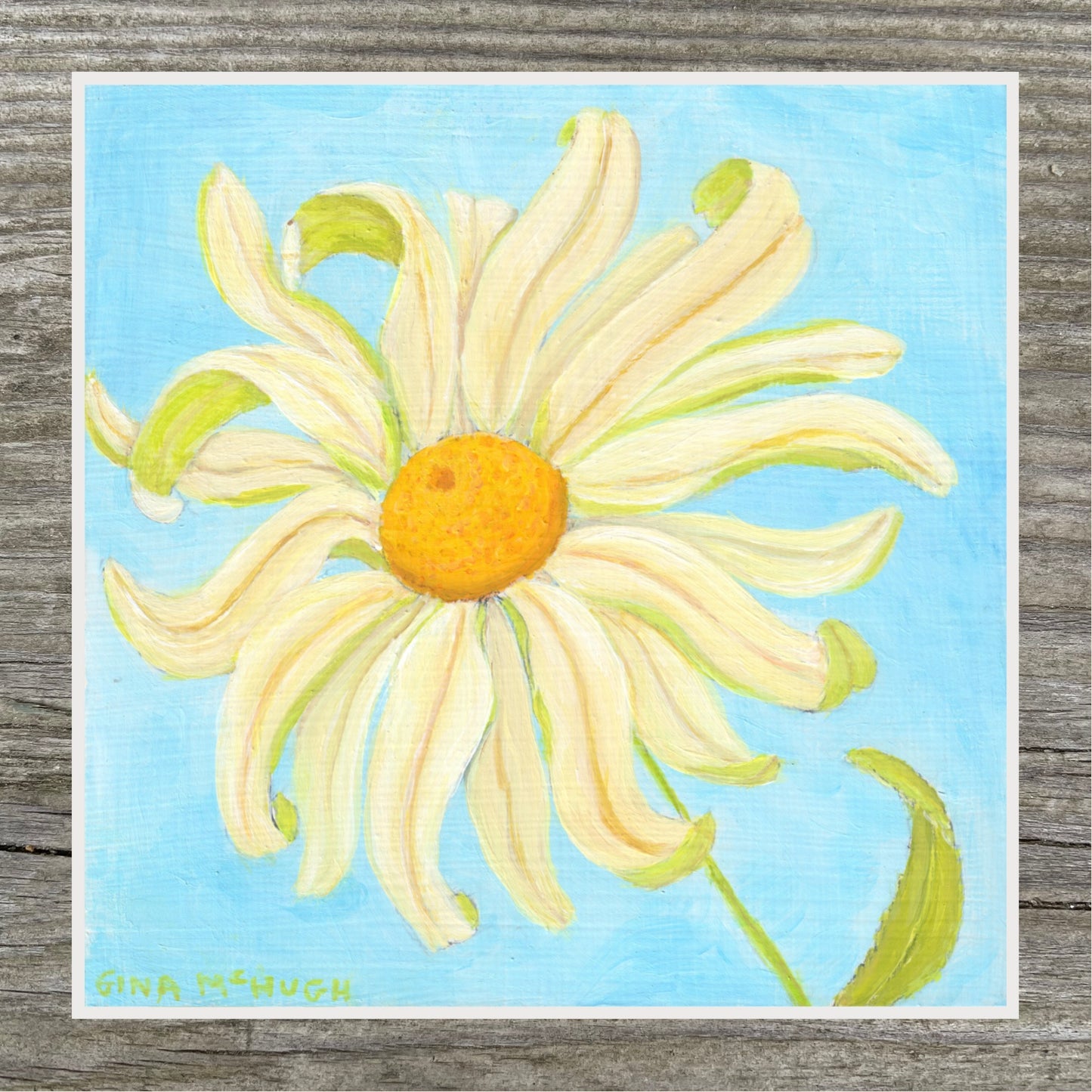 Whimsical Shasta Daisy Print