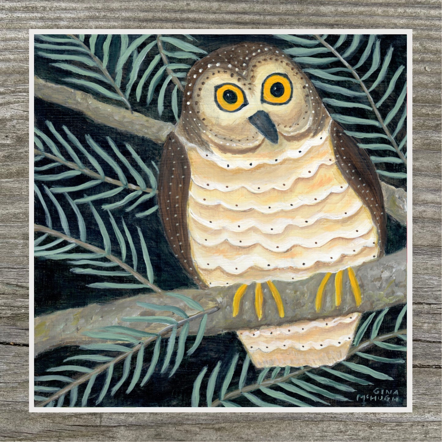 “Wondering When I’ll See You” - Northern Saw-Whet Owl  Print