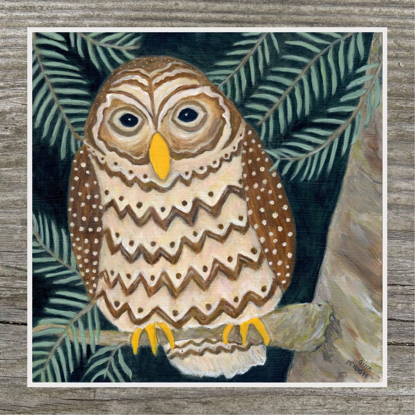 “Watching Over You” - Barred Owl  Print
