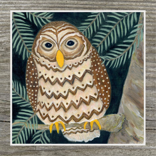 “Watching Over You” - Barred Owl  Print