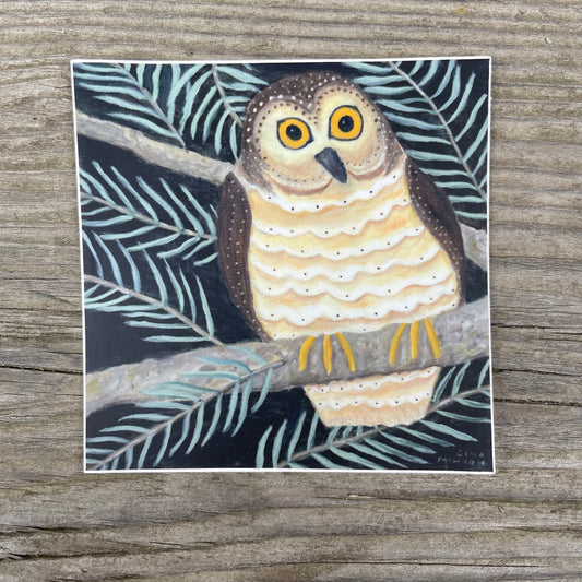 Owl Decorative sticker with pine branches