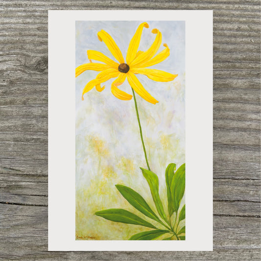 Black-Eyed Susan Print