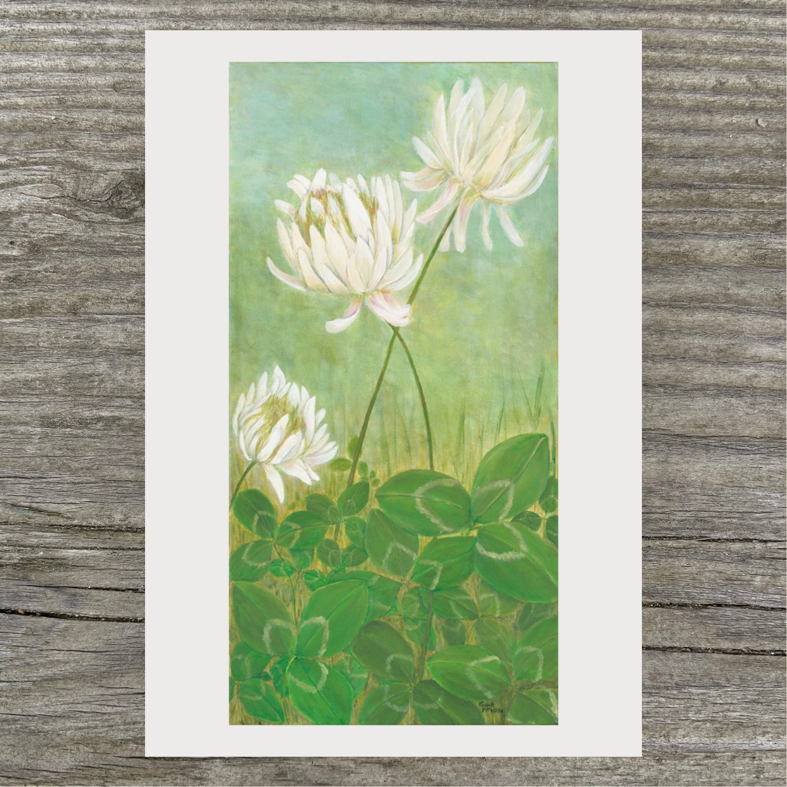Clovers Print – Twirling Tree Art - Gina McHugh