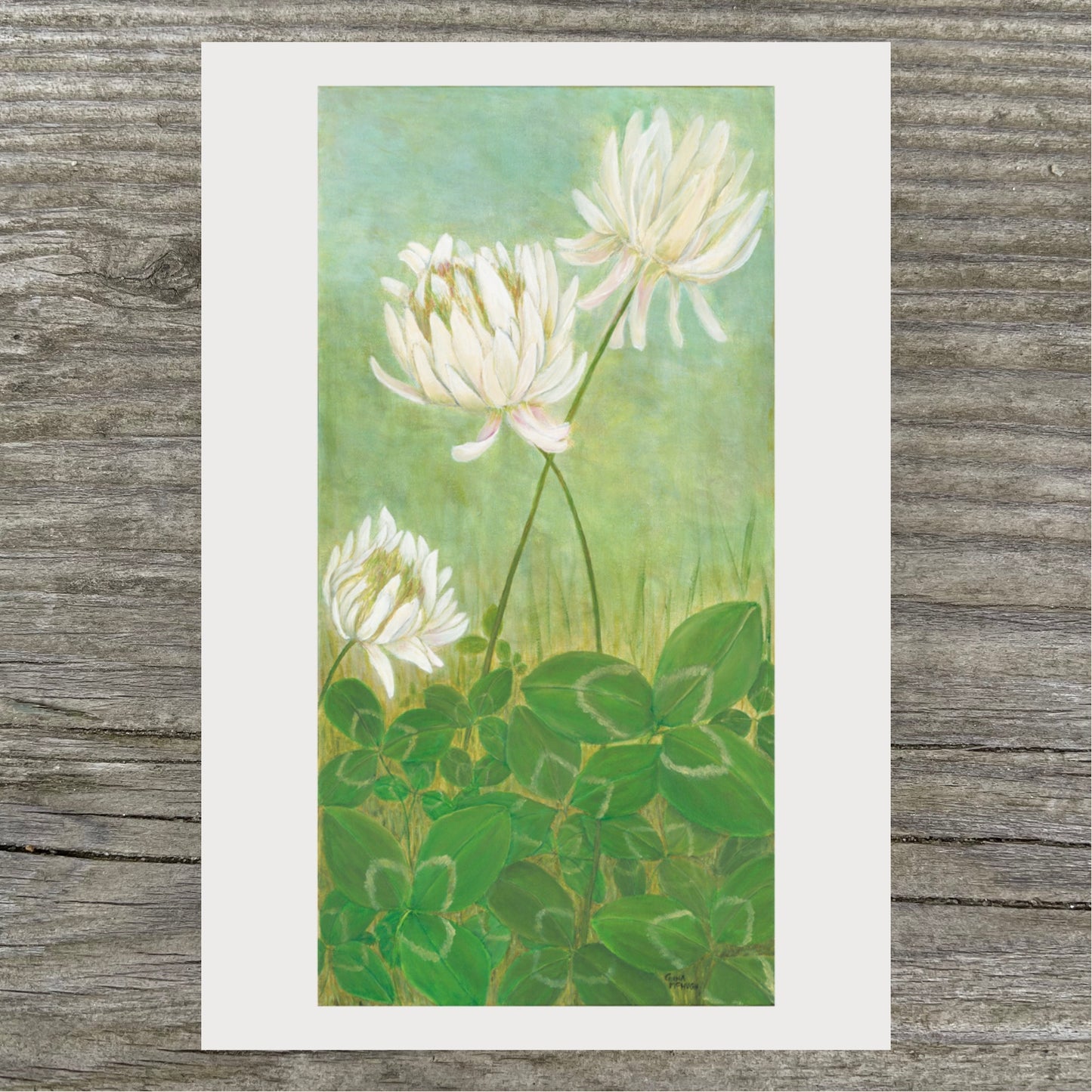 Clovers Print