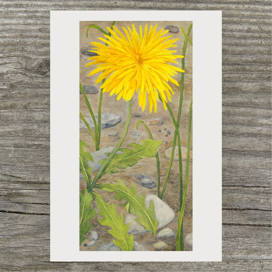 Dandelion Print