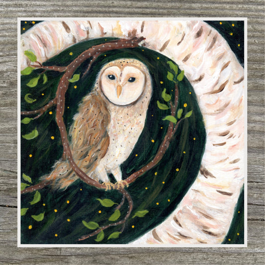 Free in the Wind - Barn Owl  Print