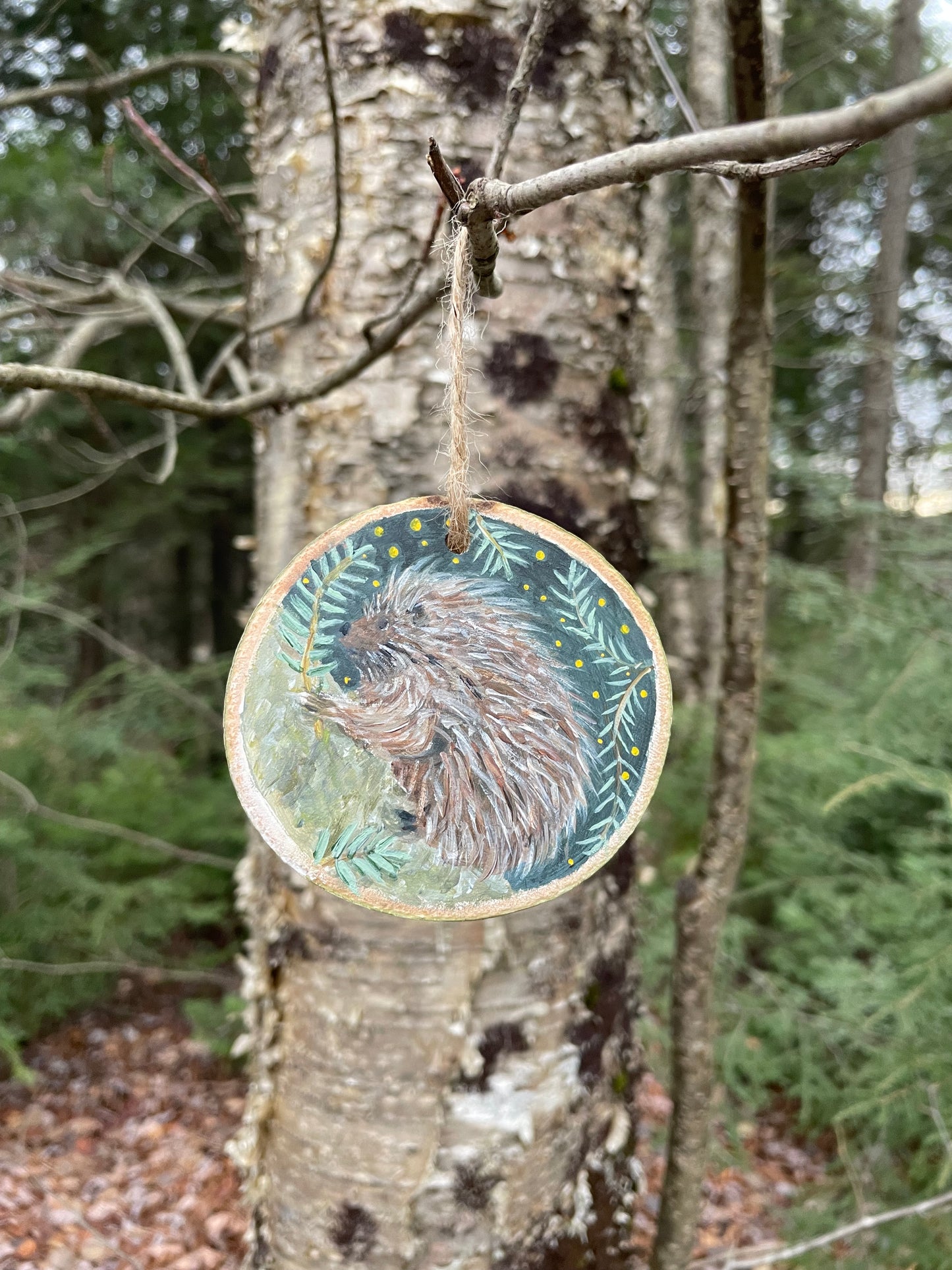 Porcupine -Handpainted Aspen Wood Slice Ornament