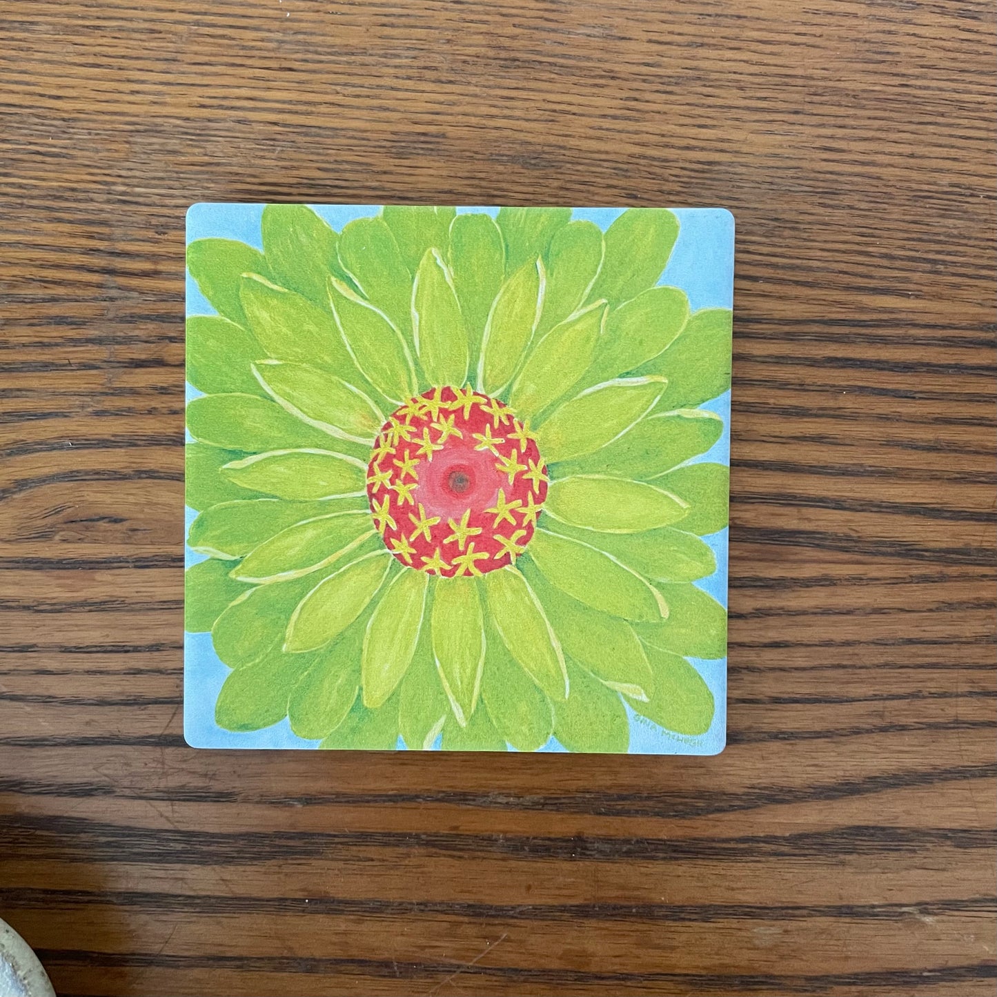 Zinnias coasters - Set of Four