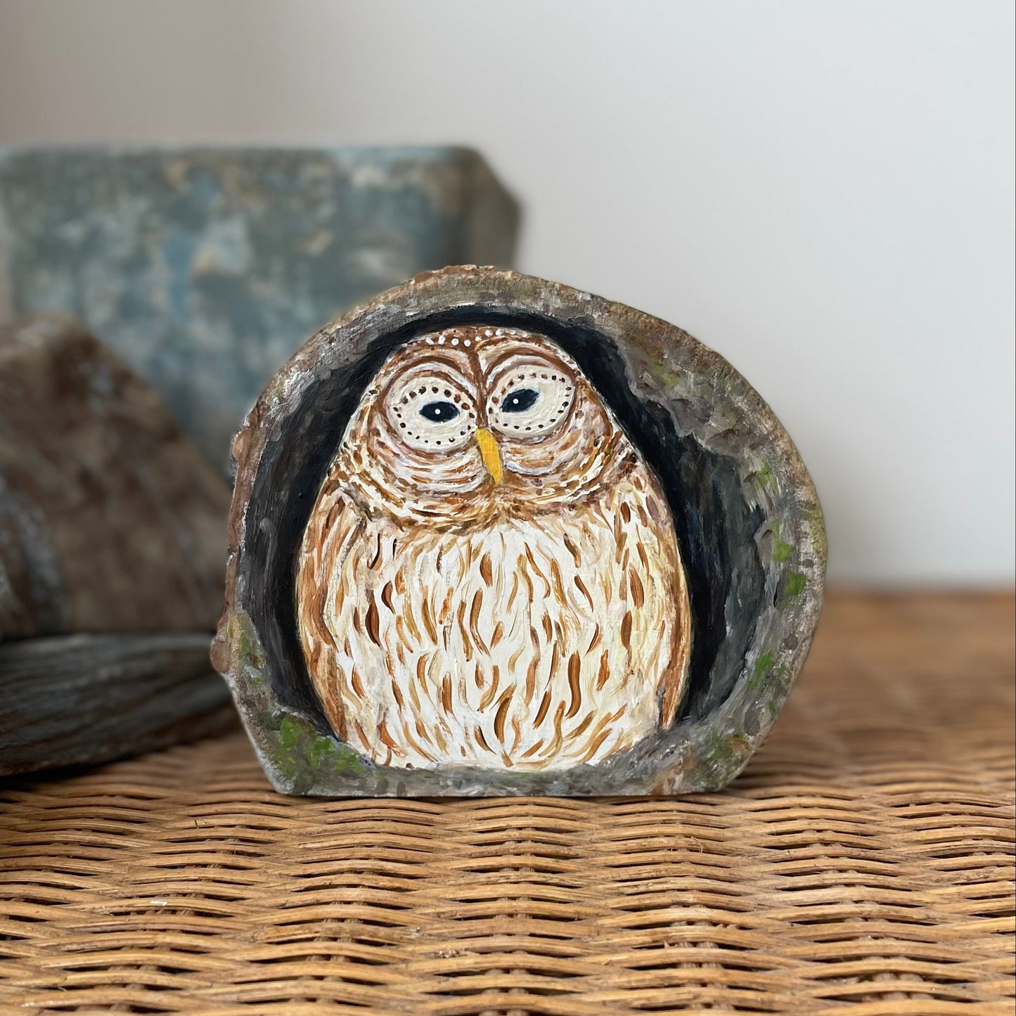 Barred owl nesting inside a tree cavity 