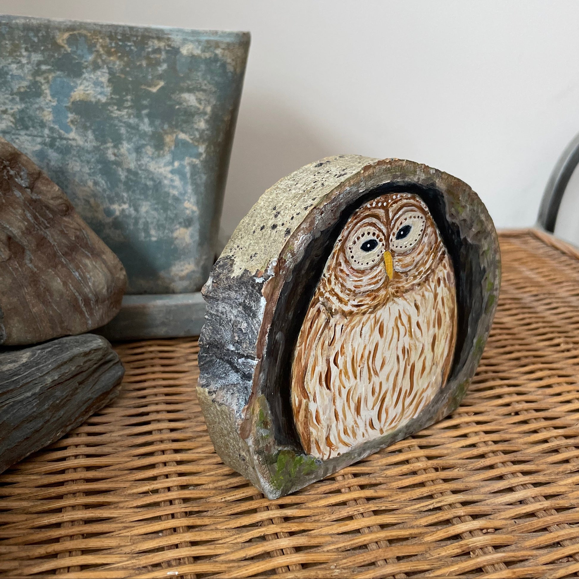 Painting of a barred owl nesting inside a tree cavity on a freestanding wood slice with bark framing the outer edge 