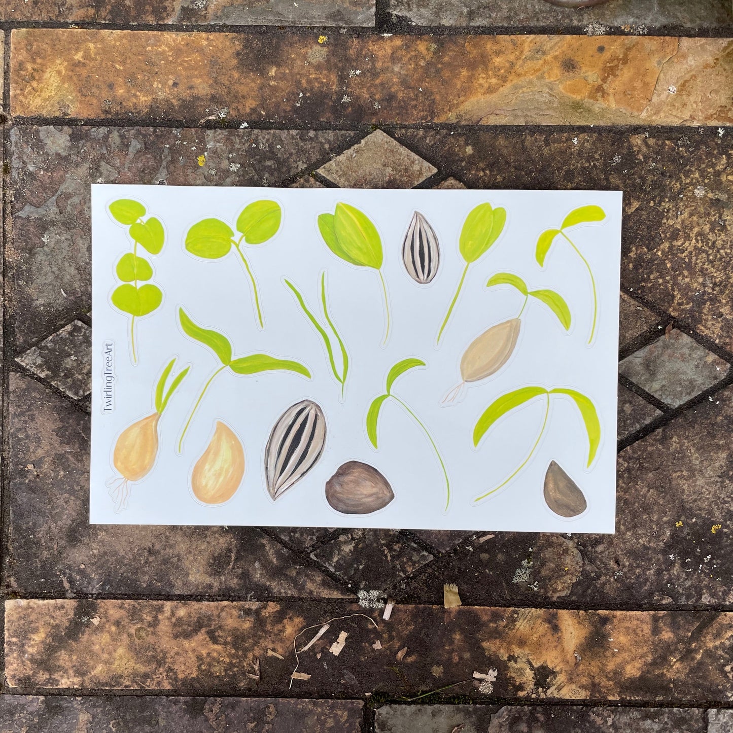 Seedlings sticker sheet