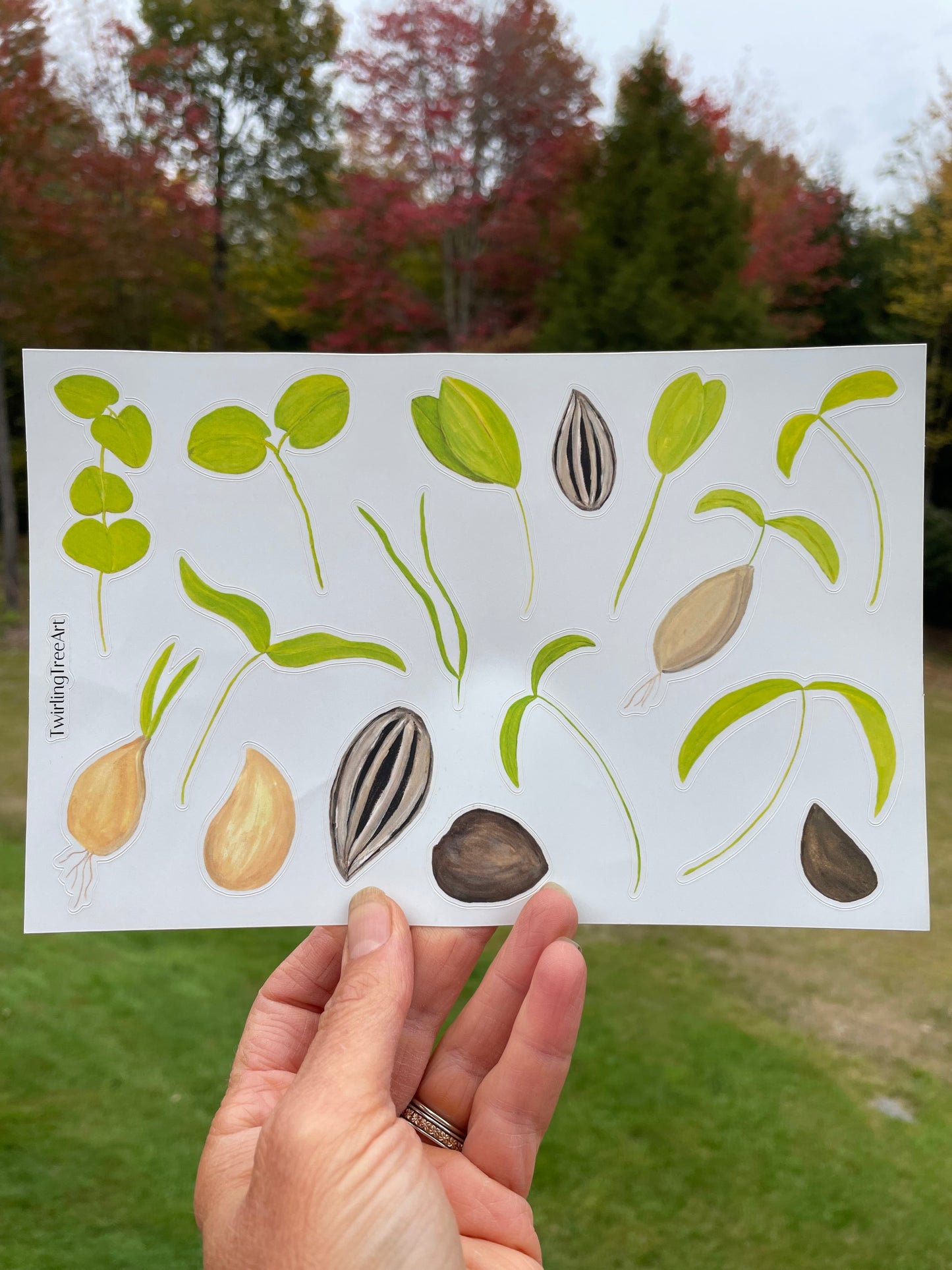 Seedlings Decorative Vinyl Sticker Sheet