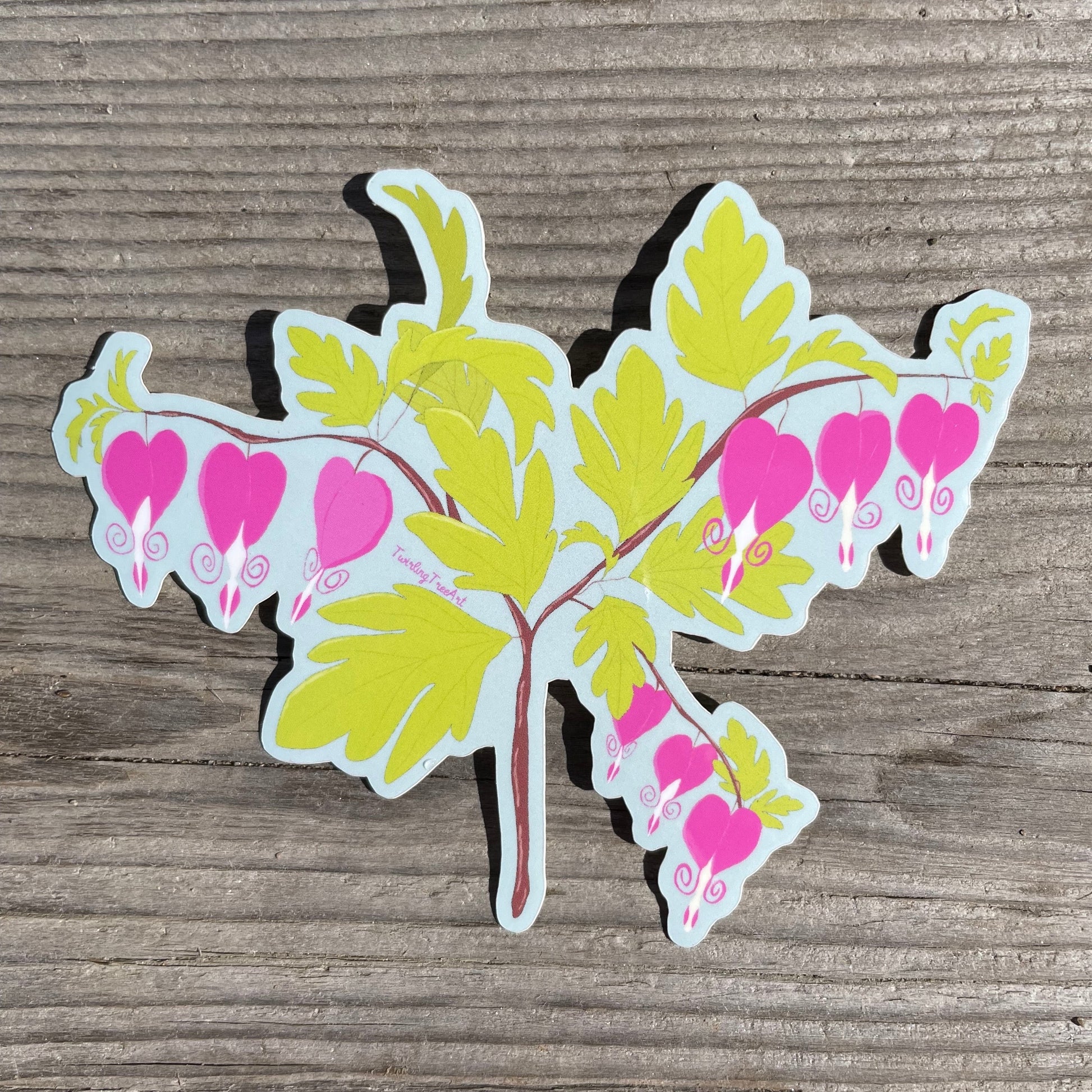 Pink bleeding heart flowers on a branch of chartreuse leaves