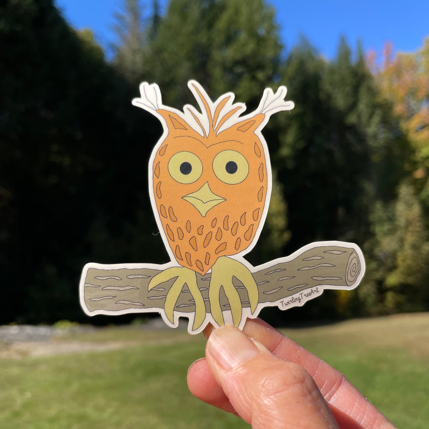 Owl Decorative Vinyl Sticker