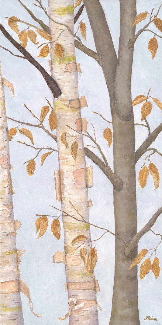 Birch & Beech Trees print