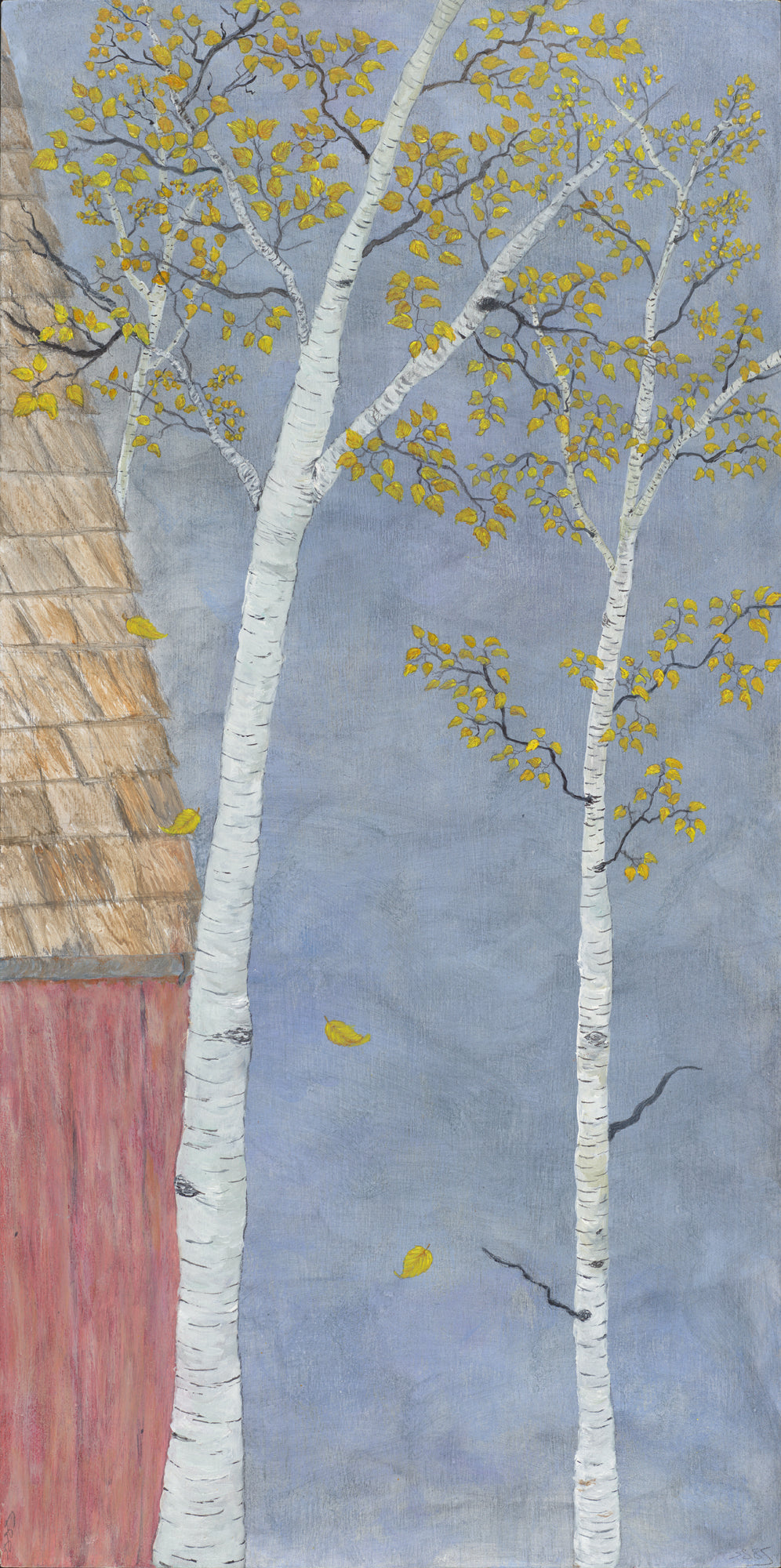 Birch trees , stormy purple-grey autumn sky, bright yellow leaves, red barn