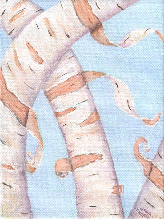 Twirling Birches 1 Print